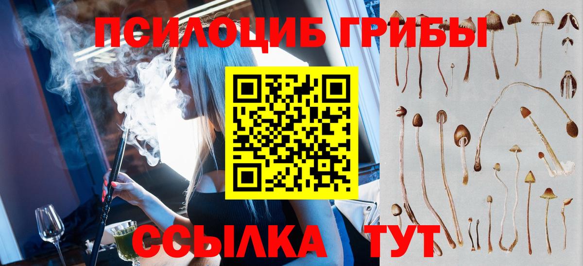 Йошкар-Ола  Псилоцибиновые грибы мухоморы  Вход с VPN 